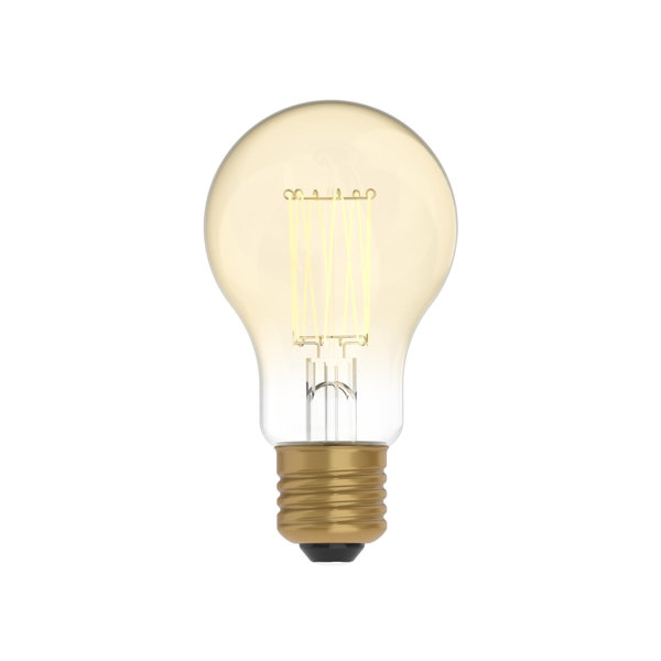 Vintage Edison LED Glühbirne 60 W – Große „Eichhörnchenkäfig“-Form, 125 Mm, Dimmbar, B22 Sockel